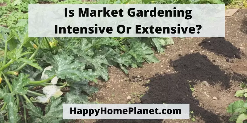 Is Market Gardening Intensive Or Extensive