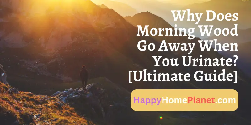 why-does-morning-wood-go-away-when-you-urinate-ultimate-guide