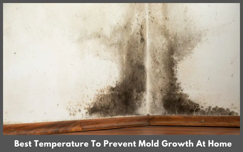 Best Temperature To Prevent Mold Growth At Home