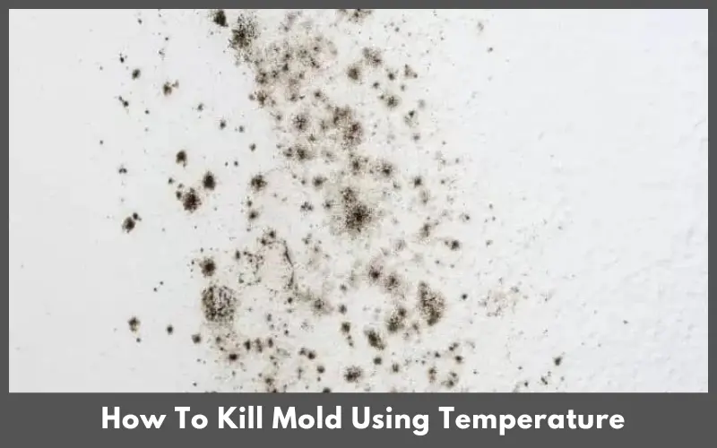How To Kill Mold Using Temperature