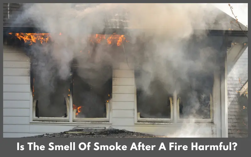 Is The Smell Of Smoke After A Fire Harmful?