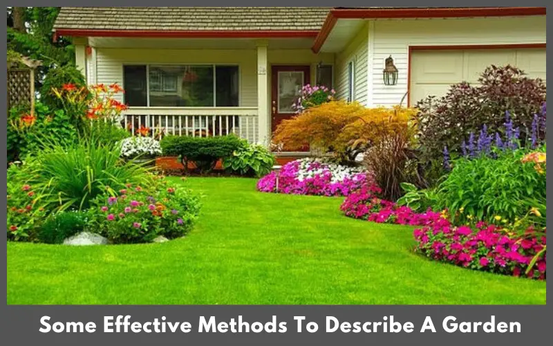 Some Effective Methods To Describe A Garden